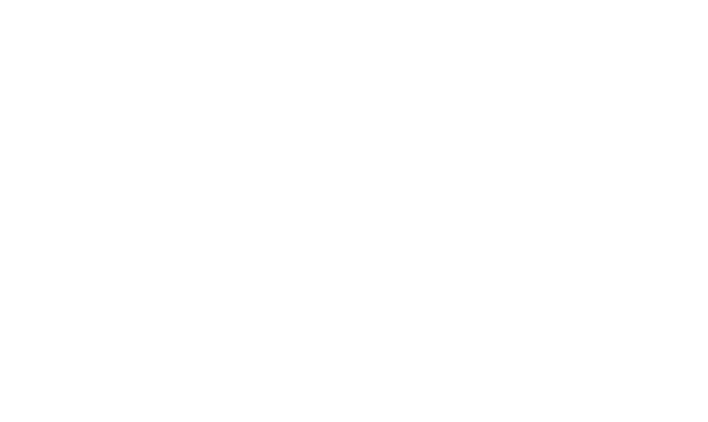 Independent dealer