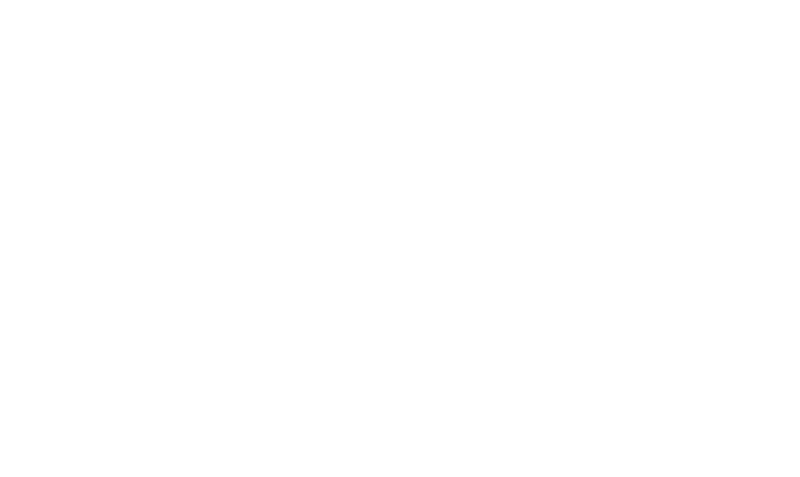 Fleet manager